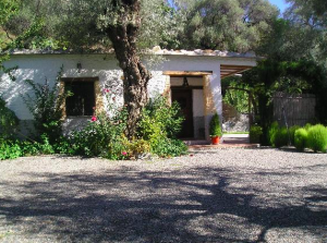 Picture of our quaint rental home ... white washed and shaded by mature trees on the outskirts of Orgiva.