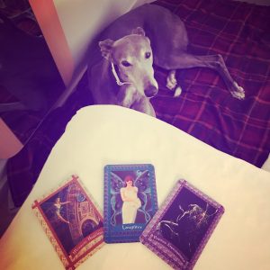 Fairy oracle cards for sharing our magical messages.